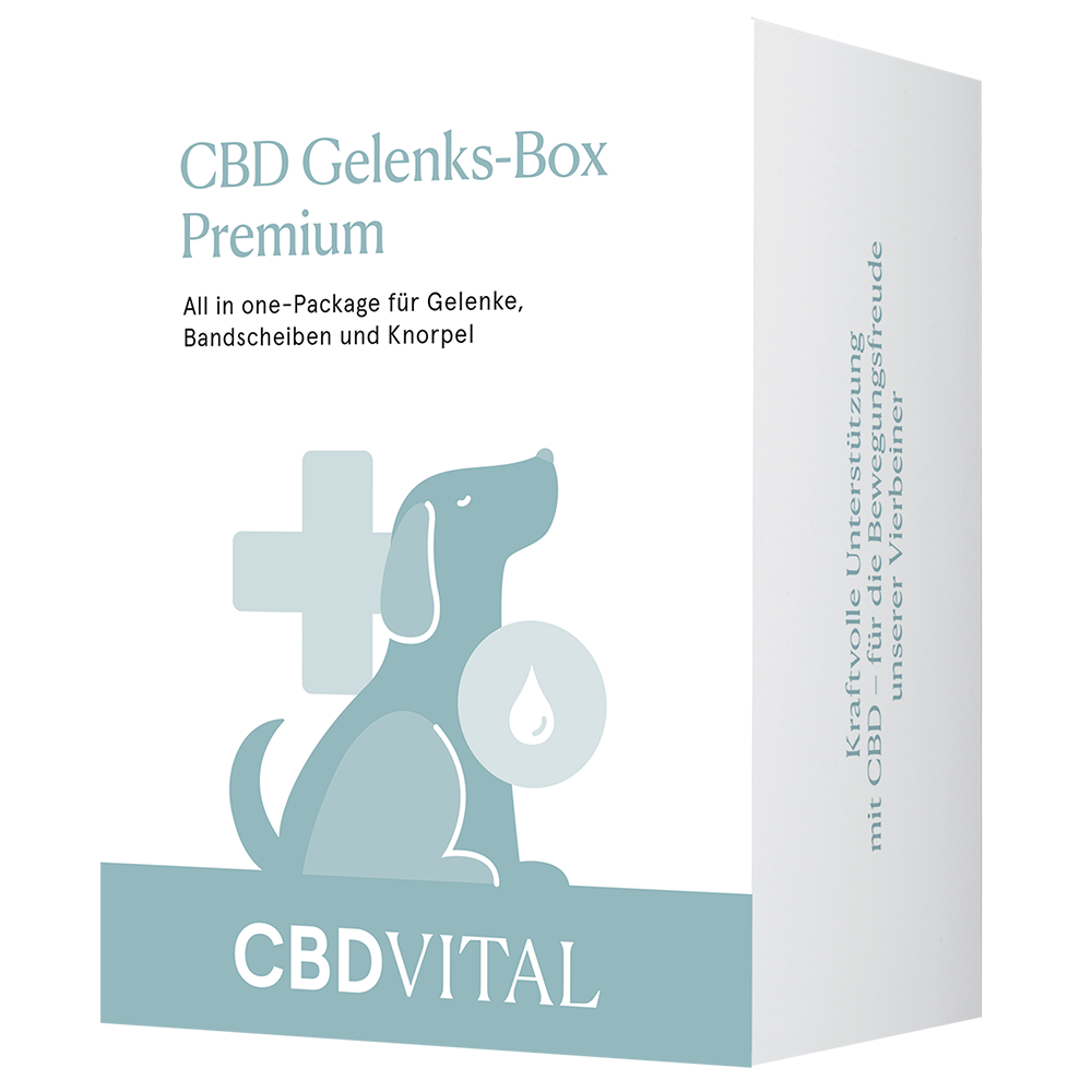 CBD Vital Gelenks-Box