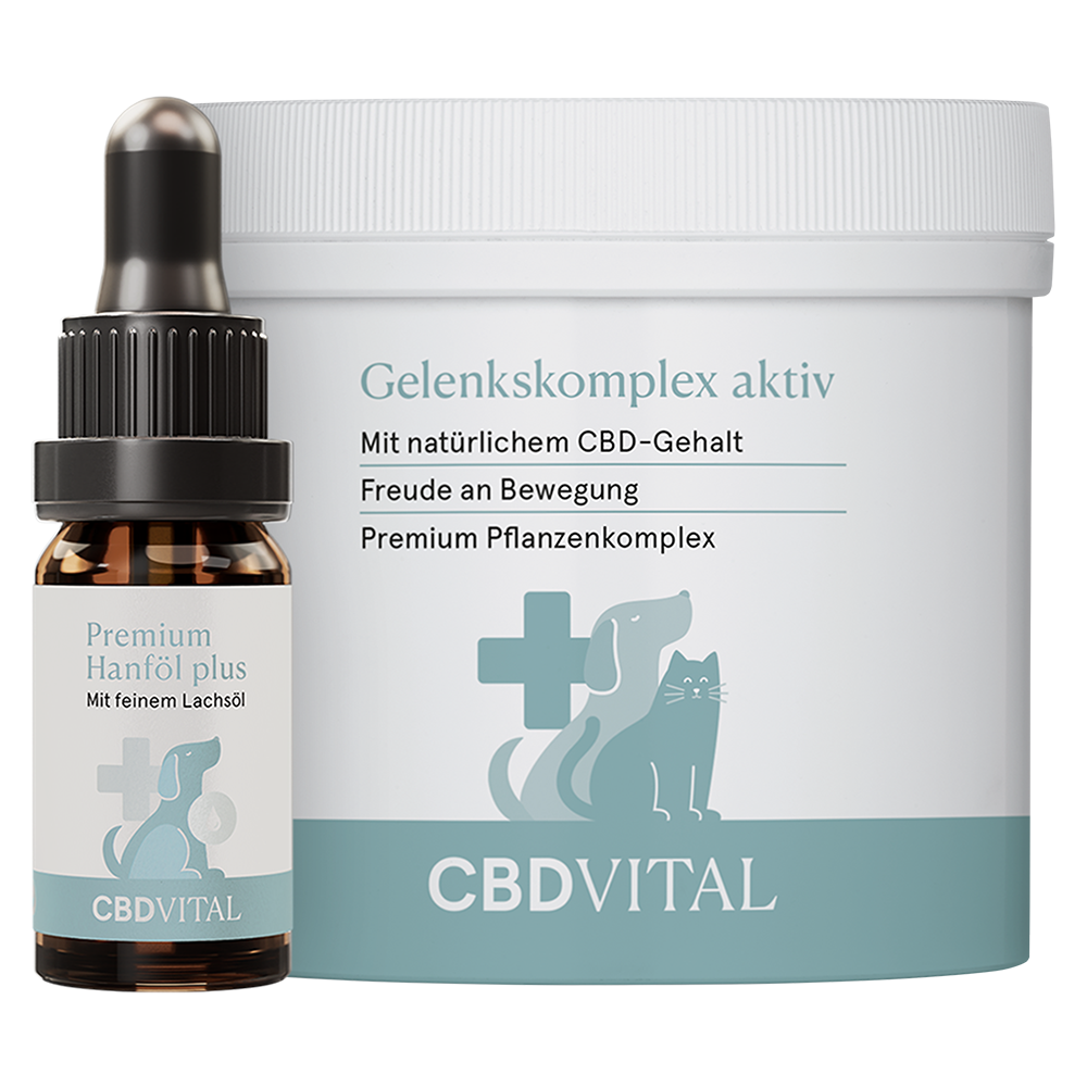 CBD Vital Gelenks-Box Premium